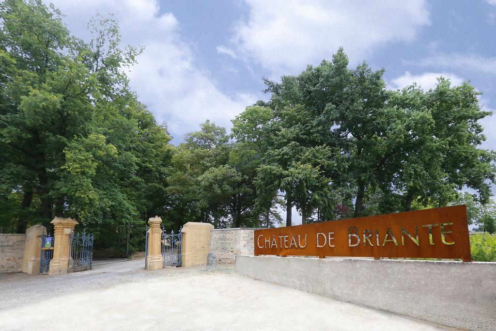 Château de Briante Saint-Lager Exterior foto
